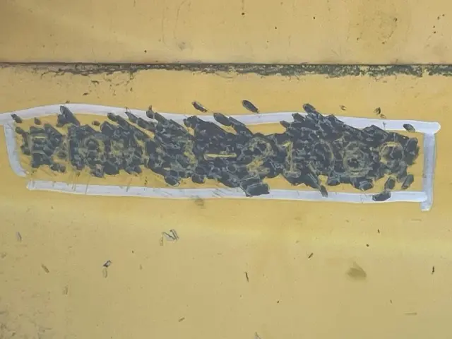Máy rải nhựa No.50005 - 5