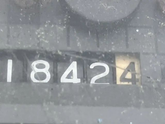 Xúc lật mini No.233 - 17